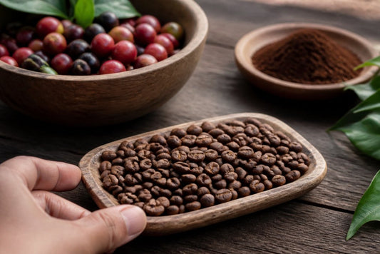 Single Origin Coffee Beans for Beginners